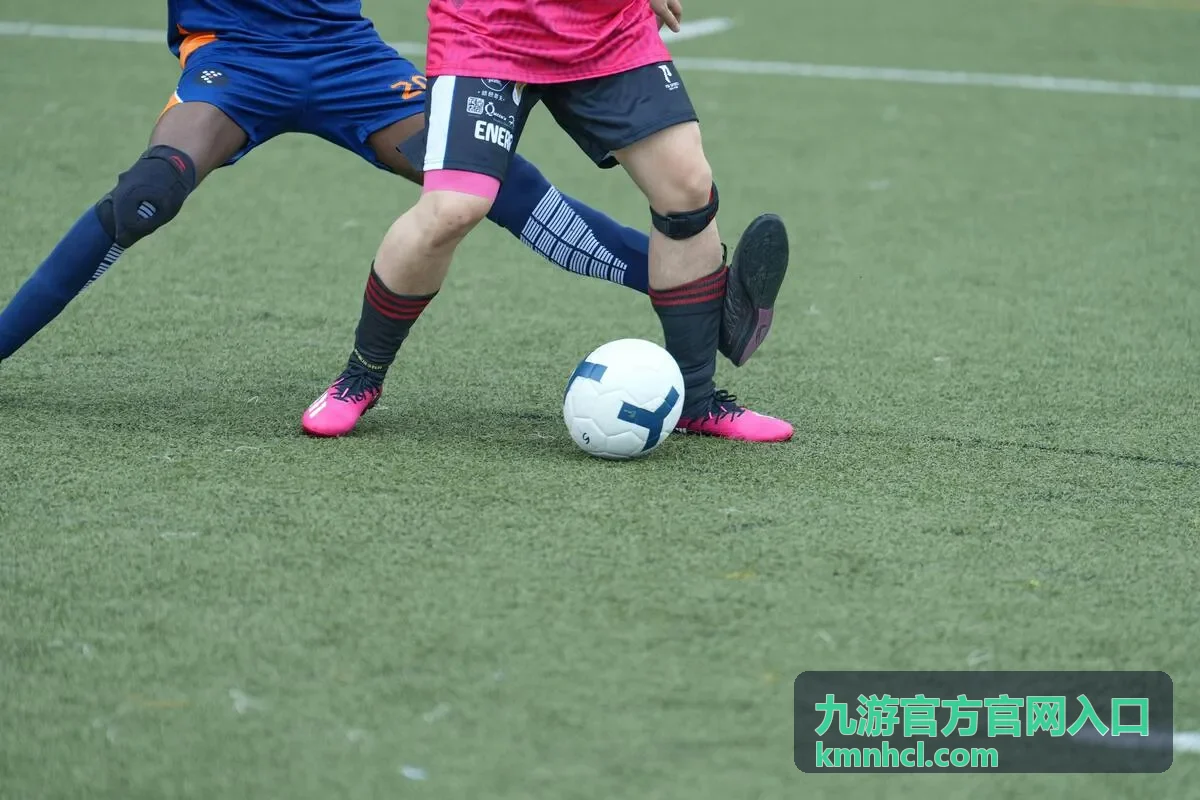 九游下载与入门指南安全提示图